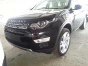 View Land Rover Discovery Sport 2.0 Si4 HSE Luxury 2015